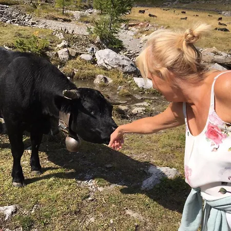 Domaine De La Famille Te Hébergement de vacances *