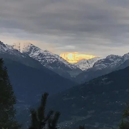 Domaine De La Famille Te *