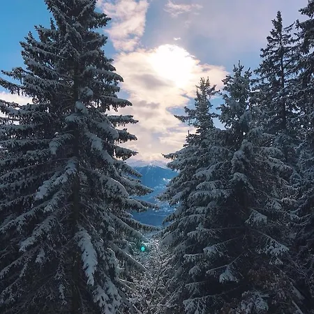 Domaine De La Famille Te