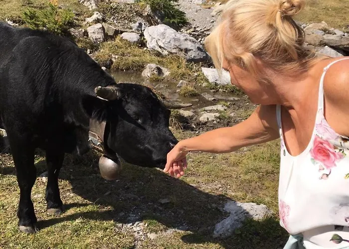 Domaine De La Famille Te Casa de Férias *