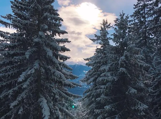 Domaine De La Famille Te