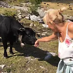 Domaine De La Famille Te Prázdninový dům *